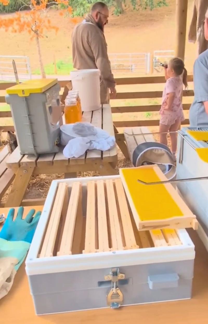Beekeeping equipment laid out for a school visit: hive boxes, frames, a veil, gloves and jars of honey